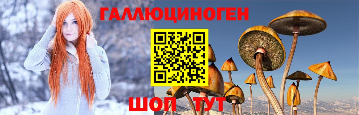 где продают   Галлюциногенные грибы MAGIC MUSHROOMS  Вход с VPN  Кирово-Чепецк  Псилоцибиновые грибы ЛСД 